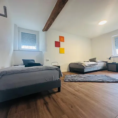 Monteure-business - 2x Mit Kueche, 1x Uebernachtungszimmer - Wlan-parkplatz-waschmaschine Apartmán *
